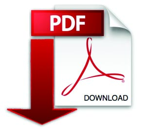 Download pdf file